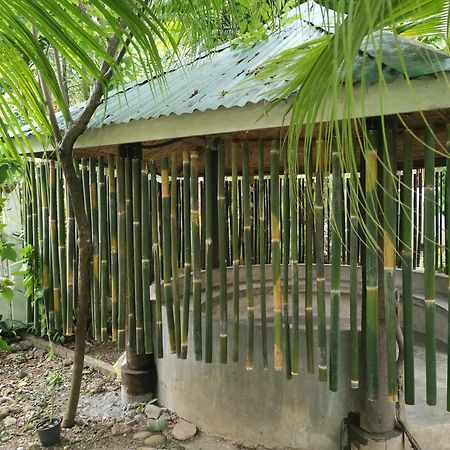 La Vida Hostel Samal Island Zewnętrze zdjęcie